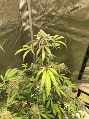 thumbnail_IMG_0818.jpg
