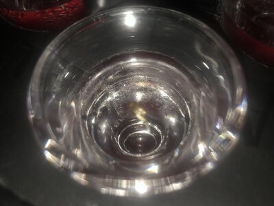 IMG_8211.jpeg