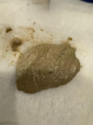 IMG_0639.jpeg