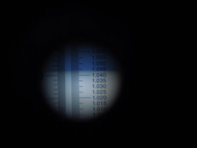 007.JPG 007.JPG