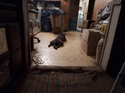 20240523_200651.jpg