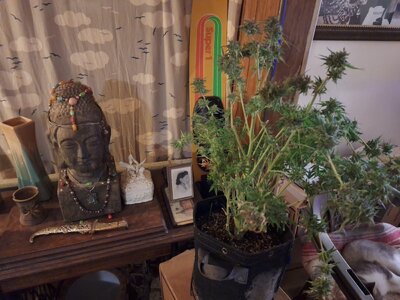 20240524_082402.jpg