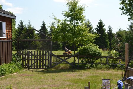 DSC_0927 - Copy.JPG