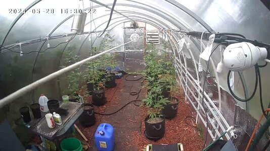 Greenhouse 5.28.2024.jpg