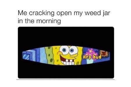 spongebob-weed-meme-1024x683.jpg