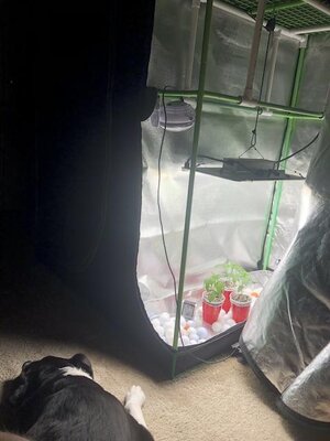 IMG_8536.jpeg