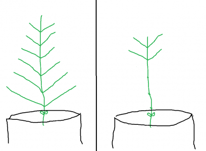 1685029066801.png