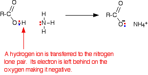 acidnh3.gif