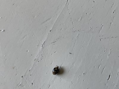 D3AB19E5-EDE1-4F39-973C-301CE3AD4344.jpeg