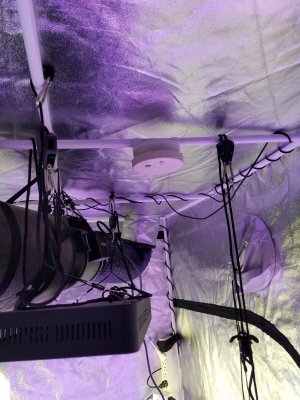 Tent smoke alarm mounted.jpg