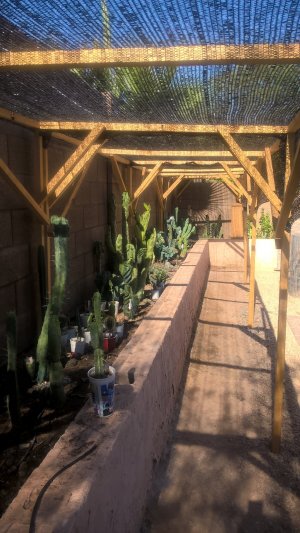 WP_20160612_16_27_03_Pro.jpg