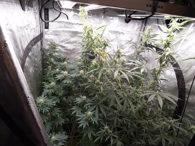 20240607_101602.jpg