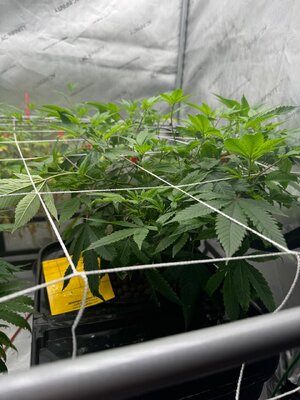 IMG_0813.jpeg