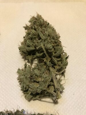 thumbnail_IMG_0871.jpg