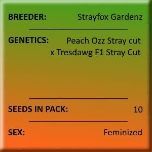 1718468011748.png