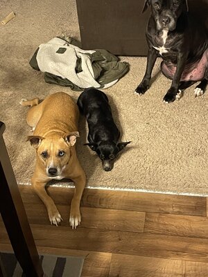 IMG_4077.jpeg