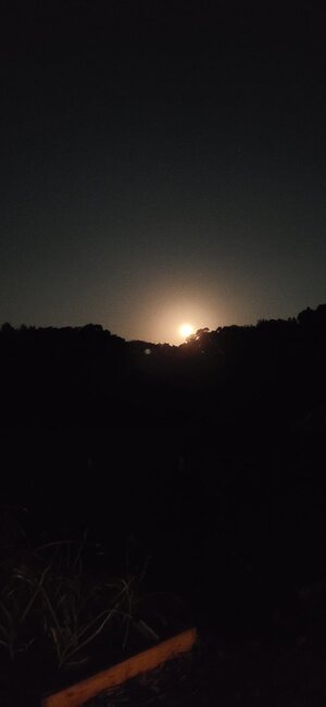 20240621_224149.jpg