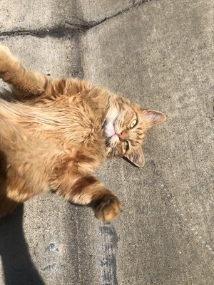 IMG_6937.jpeg