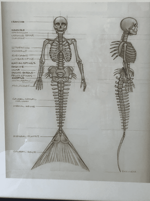 1719106317075.png