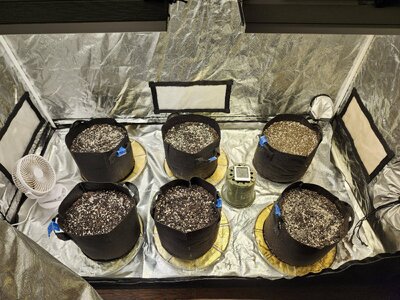 Seeds planted in their pots and watered.jpg