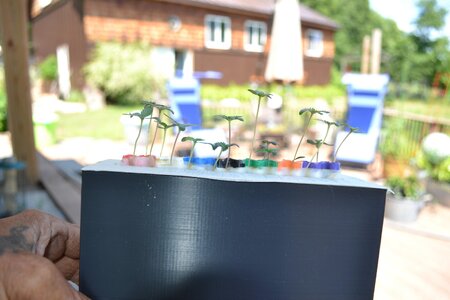 DSC_0952 - Copy.JPG