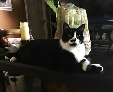 IMG_7386[1].jpeg