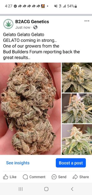 Screenshot_20240627-162800_Facebook.jpg