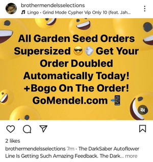 Screenshot_20240627-220341.png
