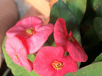 IMG_7170.jpeg