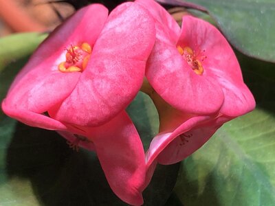 IMG_7169.jpeg