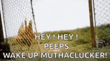 hi-whats-up.gif