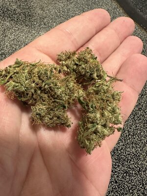 IMG_3086.jpeg