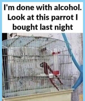 IMG_2131.jpeg