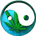 0054.gif