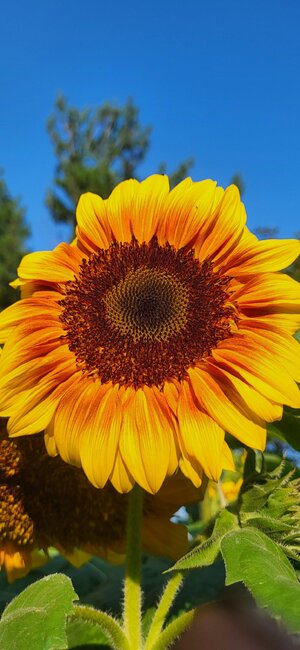 20240803_190417.jpg