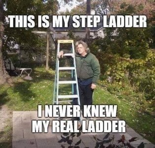 ThisIsMyStepLadder.jpg