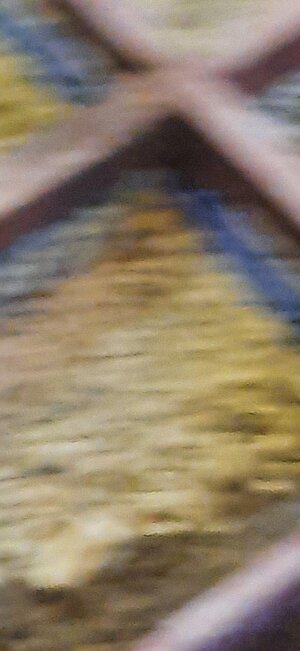 20240807_184033.jpg