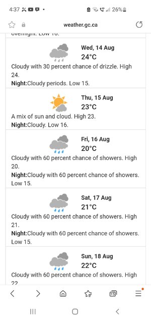 Screenshot_20240812-163723_Samsung Internet.jpg