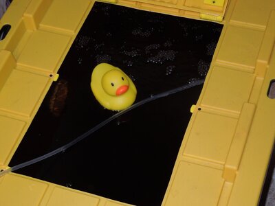 20240816.JPG 20240816.JPG