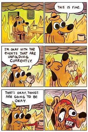 this-is-fine.jpg this-is-fine.jpg
