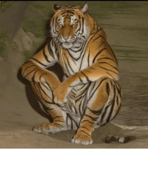 1724974539038.png 1724974539038.png