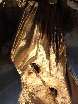 IMG_9365.jpeg IMG_9365.jpeg