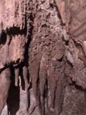 IMG_9355.jpeg IMG_9355.jpeg