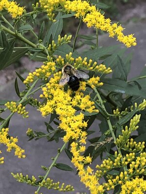 IMG_9882.jpeg