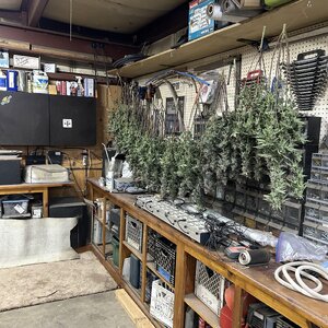 IMG_0323.jpeg