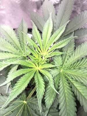 IMG_0863.jpeg