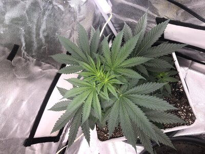 IMG_0861.jpeg