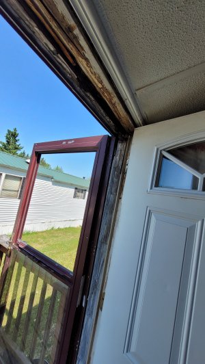 20230601_102935.jpg