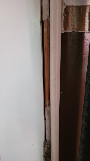 20230601_105524.jpg