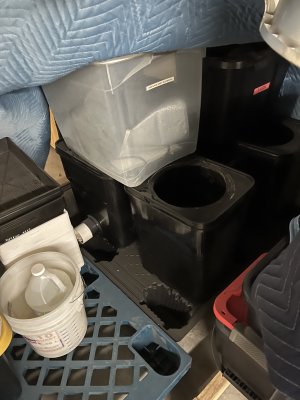 B3445843-A1DE-40A8-AB21-11EDA43E406A.jpeg B3445843-A1DE-40A8-AB21-11EDA43E406A.jpeg